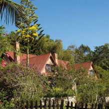 Mullers Mountain Lodge, 卢绍托 — 照片 2