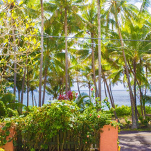 The Dolphin Cottage at Kehena Beach, 凯赫纳 — 照片 2