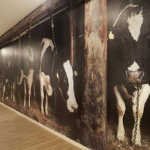 B&B Hotel Hoeve de Vredenhof, 泽伊德拉伦 — 照片 5