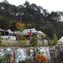 Camp Nirvana Yamunotri, Uttarkashi — photo 2