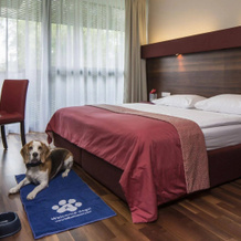 Asia Hotel & Spa Leoben, Леобен — фото 2