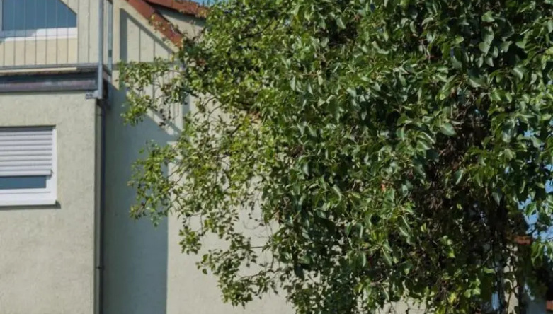 Hotel am Wasen, 内卡河畔弗赖贝格 — 照片 1