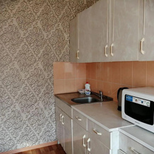 Elvira Akulova's hearth at 100 Artyom Street, 斯捷尔利塔马克 — 照片 2