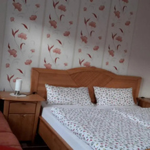 Ferienwohnung "Im Weingarten", 特拉本-特拉巴赫 — 照片 3
