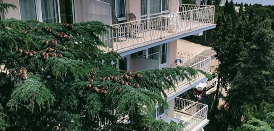 Ellada Hotel, Koreiz — photo 1