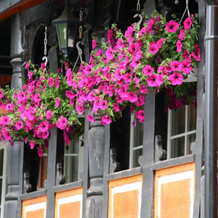 Sølvgarden Cottages, Bygland — photo 2