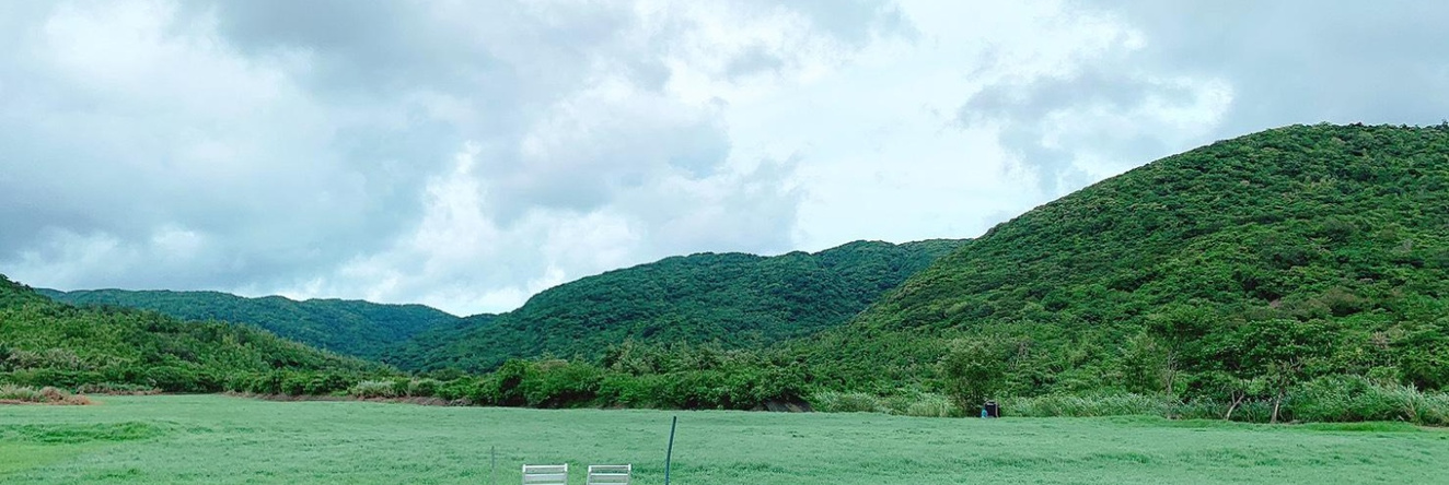 fled to happiness, Manzhou — photo 1