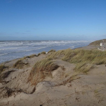 Appartement Ste Cécile À 50 Mètres De La Plage, 卡米耶 — 照片 5