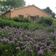 Bed & Breakfast Villa Marchesa, Монте-Сан-Вито — фото 4