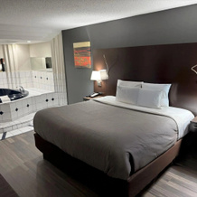 Quality Inn and Suites Livonia, 利沃尼亚 — 照片 3