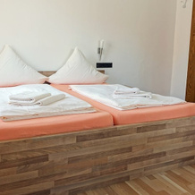 Hotel Blautannen, Altlussheim — photo 4