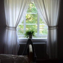 Slagesnäs Bed & Breakfast, 旺加 — 照片 2