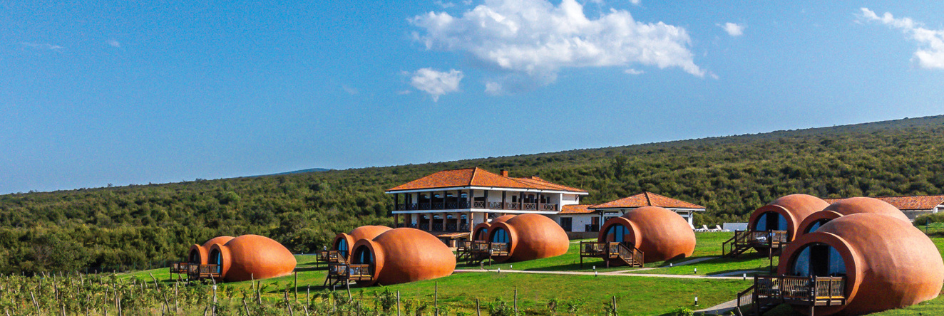 Hotel Qvevrebi, 沙拉乌里 — 照片 1