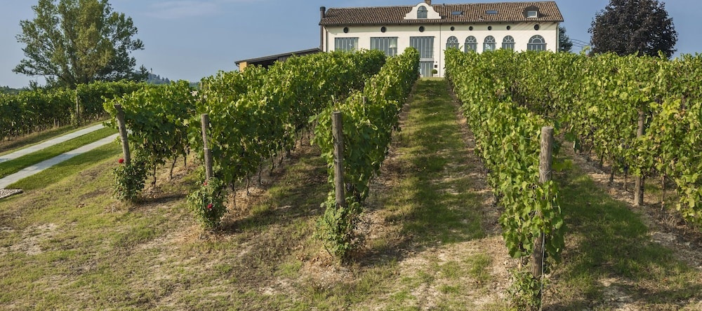 Villa San Marzano, Сан-Марцано-Оливето — фото 1