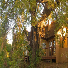 Shishangeni Main Lodge, Коматипорт — фото 2