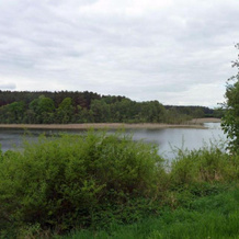Bungalow Am Kustrinsee Bei Lychen, 利兴 — 照片 3