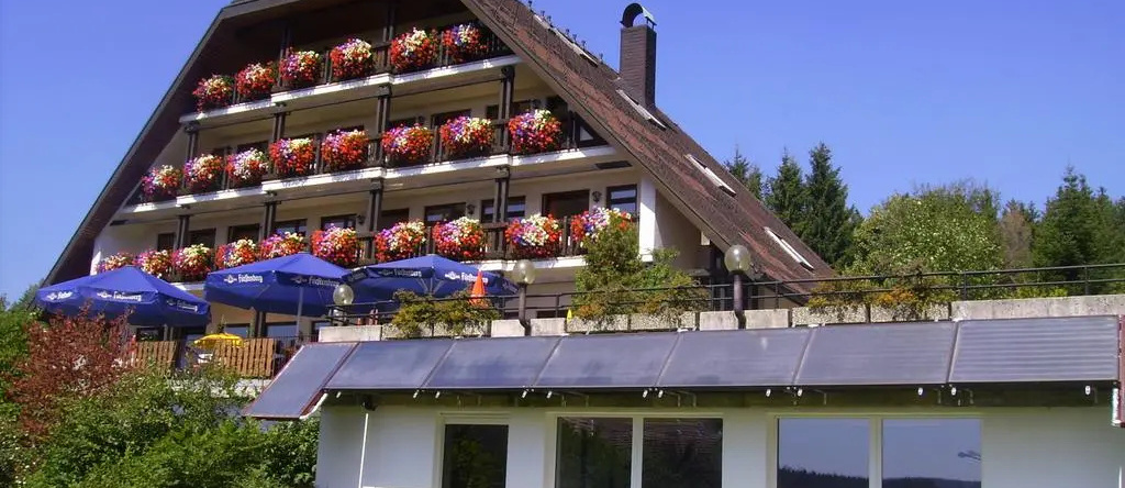 Schwarzwald Gasthof Sternen-Post, Braunlingen — photo 1