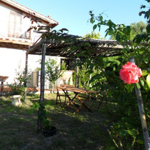 Casa Vacanze Il Pino, 阿凯亚 — 照片 4