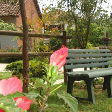 Affittacamere La Cascina Del Lago, 莫纳莱 — 照片 3