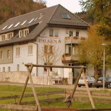 Landgasthof Hotel Falken, Stegen — photo 3