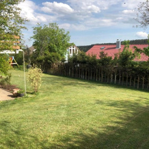 Schwarzwaldhirsch, Унтеркирнах — фото 5