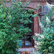 Siedlisko Błominko, Szczytno — photo 4