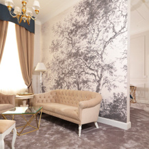 Hotel SPLENDID 1900, 克拉约瓦 — 照片 3