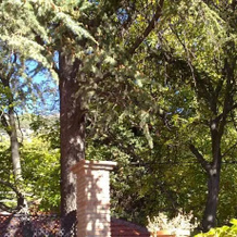 Miranevada, Casas de Montaña, 丰特格兰德 — 照片 3