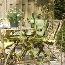 Bed & Breakfast Boschzicht Doorn, Доорн — фото 5