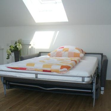 Ferienwohnung Rheinaue, 科隆 — 照片 4