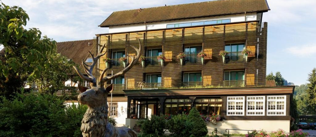 Hotel Hirschen Glottertal, Ohrensbach — photo 1