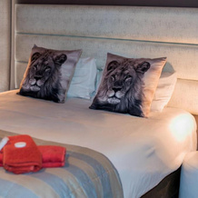 Out of Africa Guest House, 奥希瓦罗 — 照片 2