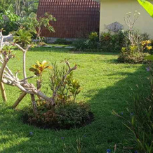 Villa Selat, 班利 — 照片 5