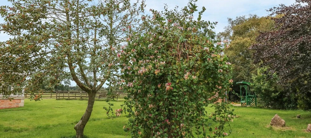 Orchard Barn, 斯通 — 照片 1