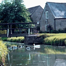 Kings Head Inn, 奇平诺顿 — 照片 5