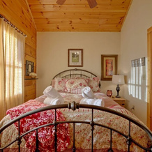 Sky High - 4 Br Cabin, Erwin — photo 5