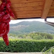 Le Chalet del Pollino, Rotonda — photo 4