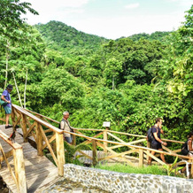 Ecohotel Yachay Tayrona, Los Naranjos — photo 5