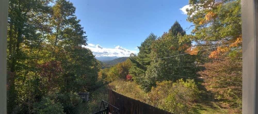 Wildflower Mountain Cottage - 3 Br Home, 弗莱彻 — 照片 1