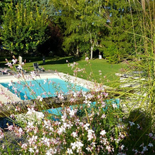 Manoir de la Vigneraie, Athee-sur-Cher — photo 4