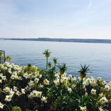 Ferienwohnung am Bodensee, 乌尔丁根-米尔霍芬 — 照片 4