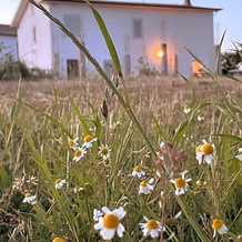 La Casa Degli Artisti, 蒙特焦尔达诺 — 照片 4
