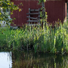 Alboga Haragården, 赫伦格 — 照片 5