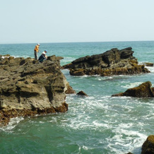 Bunga Ayu Seaside Resort, 佩拉布汉拉图 — 照片 5