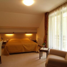 Vila Park B&B - Adults Only, Толмин — фото 4