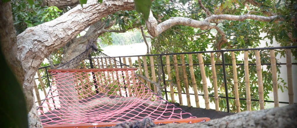 Leopard Lakes Wilpattu Hotel, 埃卢万库拉马 — 照片 1