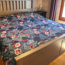 Chalet la Fr taz Bullet, Bullet — photo 5