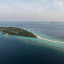 Turtle Maldives, Атолл Алиф-Алиф — фото 4