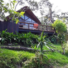 Delicious Monster B&B, Port St. Johns — photo 2