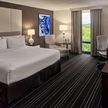 Sonesta Atlanta Northwest Galleria - Marietta, Сэнди-Спрингс — фото 3